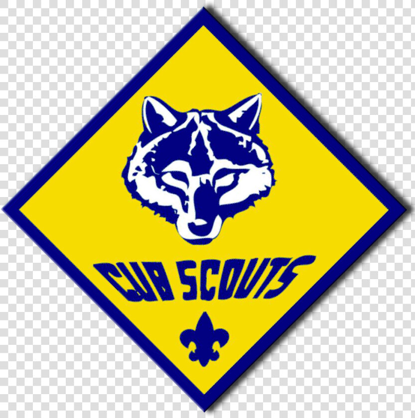 Boy Scout Cub Scout  HD Png DownloadTransparent PNG