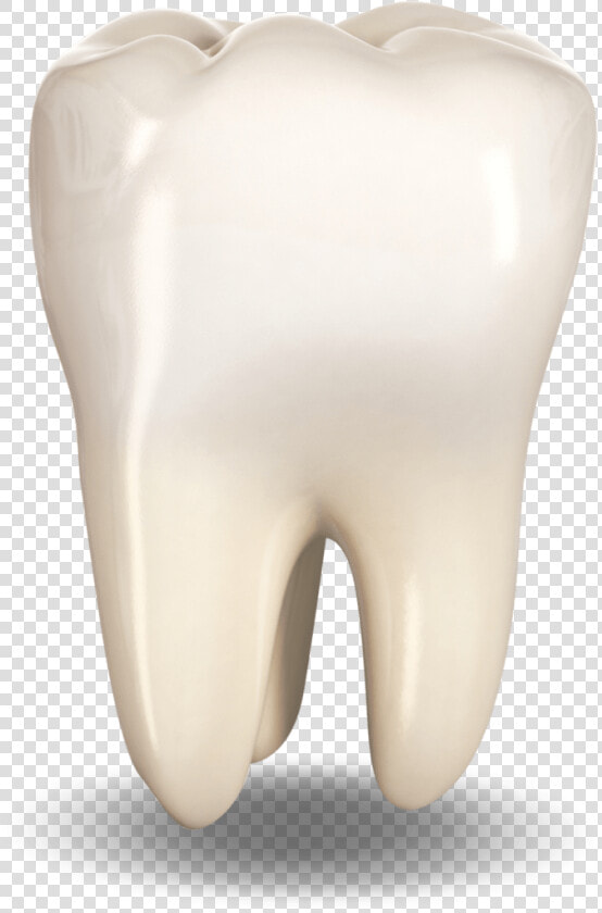 Extracted Tooth Ocala  Fl   Hearing  HD Png DownloadTransparent PNG