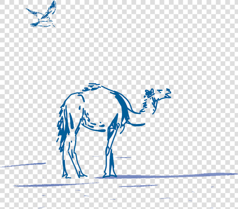 Arabian Camel  HD Png DownloadTransparent PNG