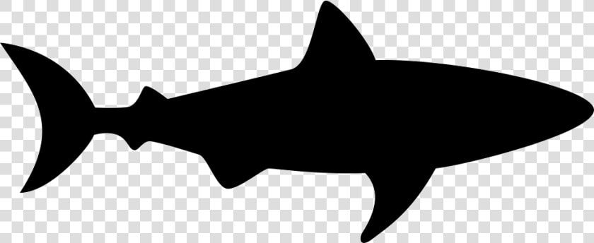 Shark Facing Right   Shark Silhouette  HD Png DownloadTransparent PNG