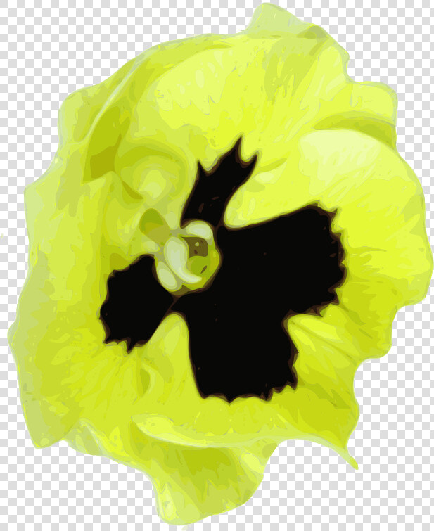 Pensee Flower   Pansy  HD Png DownloadTransparent PNG