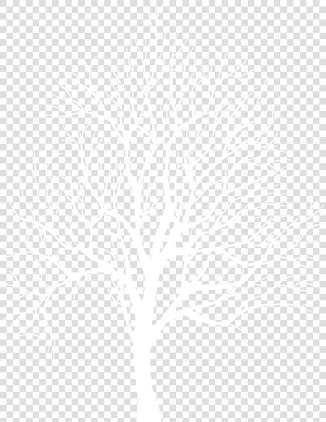 White Tree Silhouette Png   Png Download   White Tree Silhouette Transparent Background  Png DownloadTransparent PNG