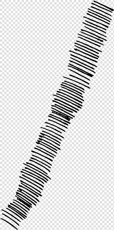 How To Set Use Hatching Lines Svg Vector   Png Download   Monochrome  Transparent PngTransparent PNG