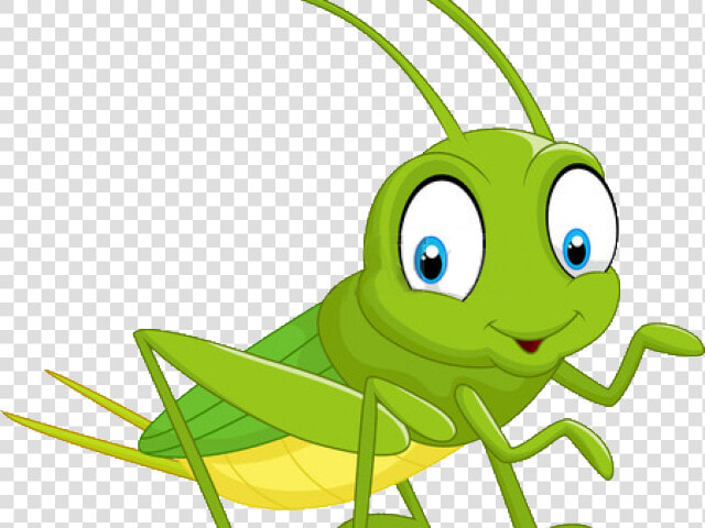 Cartoon Grasshopper   Cartoon Cricket Insect Drawing  HD Png DownloadTransparent PNG