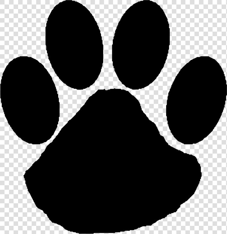 Wildcat Paw Clip Art   Wildcat Paw Clipart  HD Png DownloadTransparent PNG