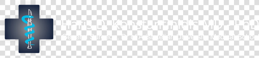 Ivory  HD Png DownloadTransparent PNG