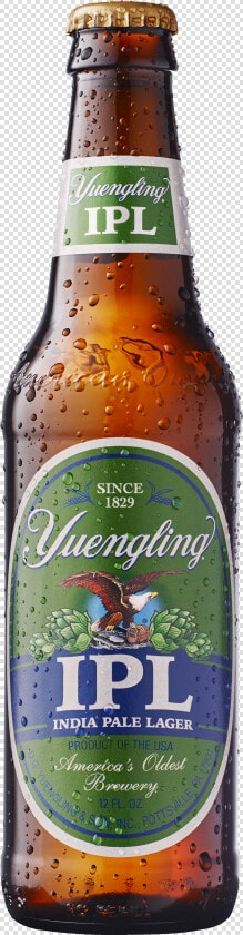 Yuengling Porter  dark Brewed    Yuengling Brewery  HD Png DownloadTransparent PNG