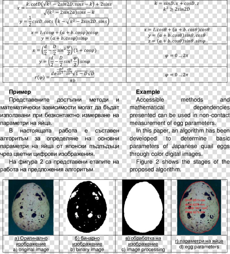 Document  HD Png DownloadTransparent PNG