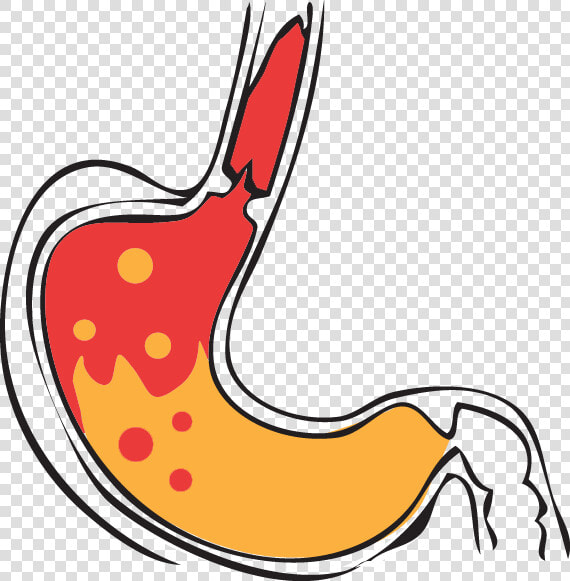 Thumb Image   Stomach Acid Clipart Png  Transparent PngTransparent PNG