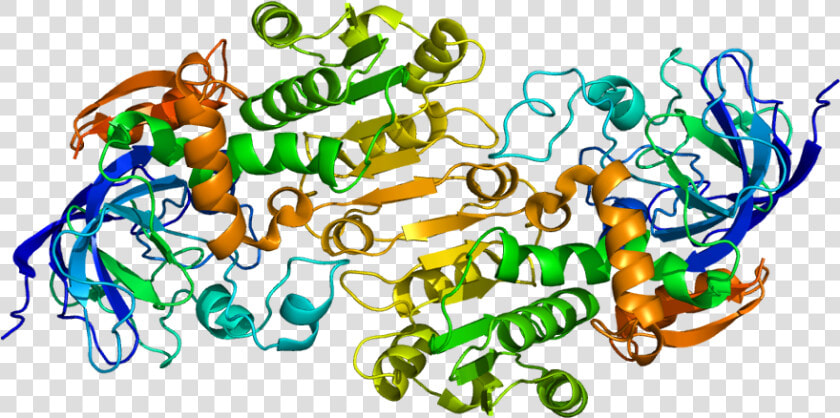 Alcohol Dehydrogenase  HD Png DownloadTransparent PNG