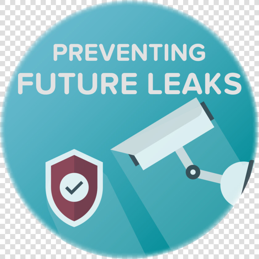 Preventing Dns Vpn Leaks   Circle  HD Png DownloadTransparent PNG