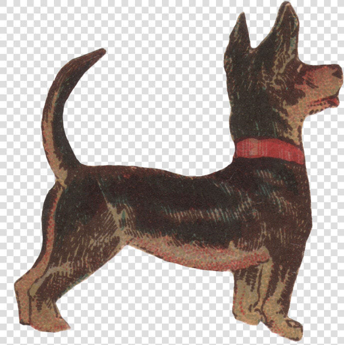 Ancient Dog Breeds  HD Png DownloadTransparent PNG