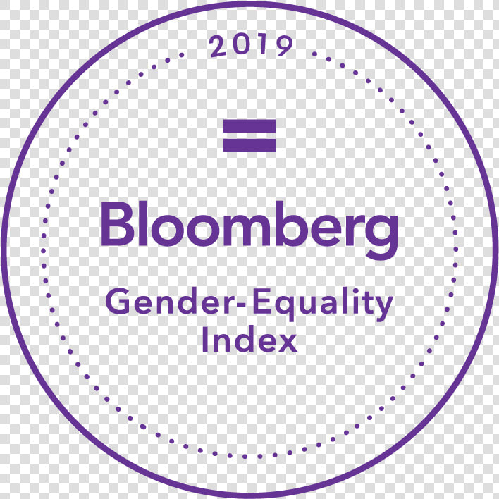 This Is Some Alt Text For The Image   Bloomberg Gender Equality Index  HD Png DownloadTransparent PNG