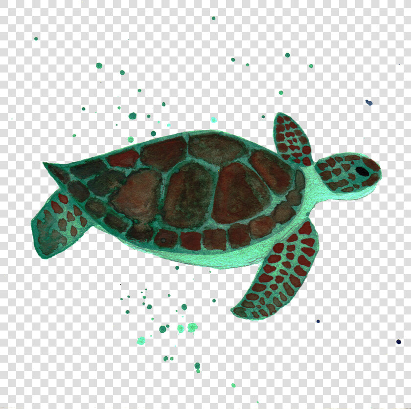 Sea Turtle By Chrystal Elizabeth   Sea Turtle  HD Png DownloadTransparent PNG