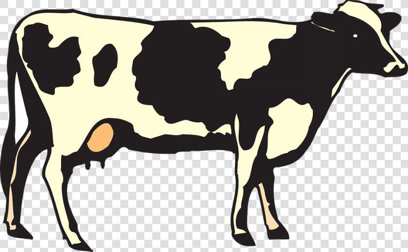 Transparent Vaca Png  Png DownloadTransparent PNG