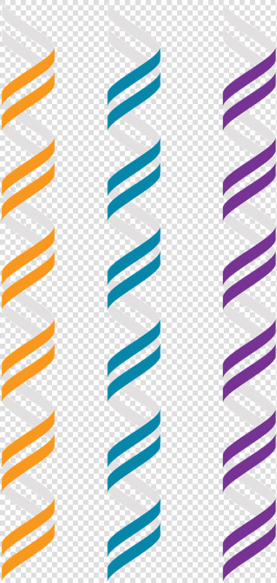 Dna B dna Genetics Free Photo   Double Helix Dna Vector Png  Transparent PngTransparent PNG