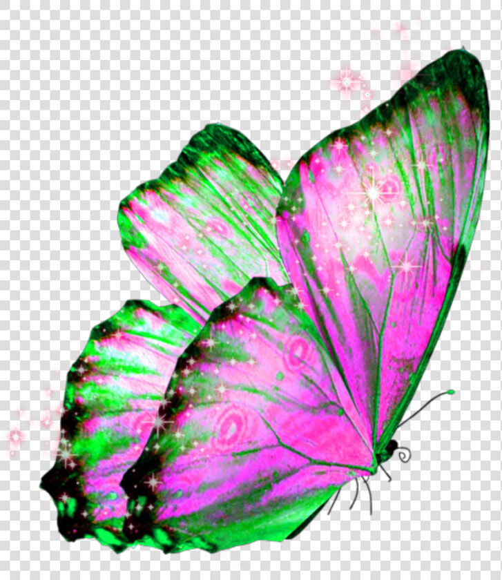  butterfly  wings  butterflywings  fairy  HD Png DownloadTransparent PNG