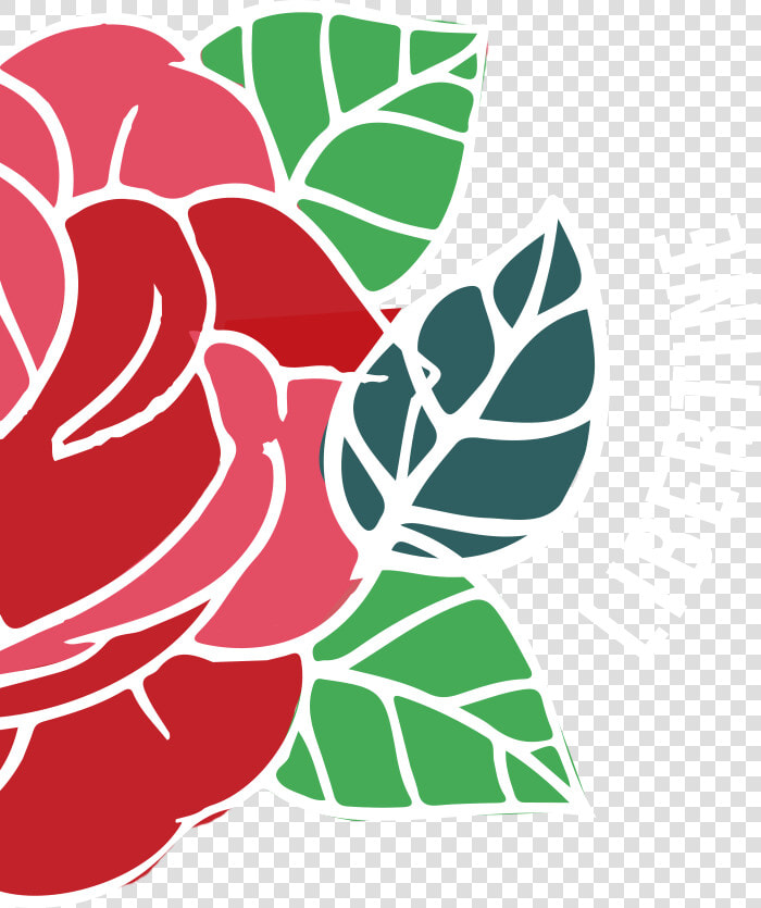 Transparent Falling Roses Png   Hybrid Tea Rose  Png DownloadTransparent PNG