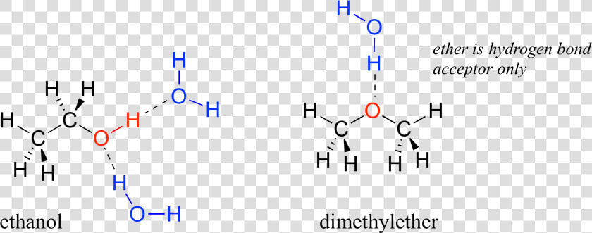 Transparent Water Molecule Clipart   Hydrogen Bonding In Ethanol And Water  HD Png DownloadTransparent PNG