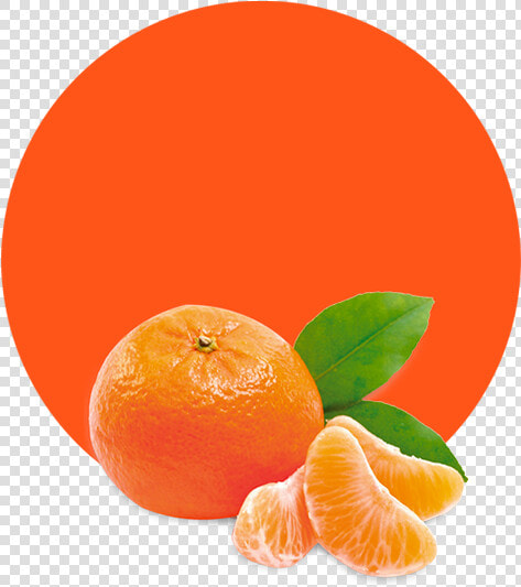 Mandarin Orange Fruit  HD Png DownloadTransparent PNG