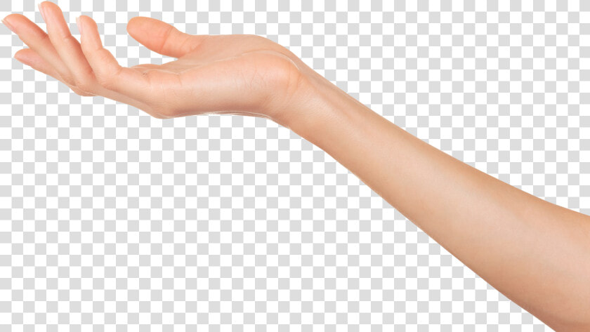 Transparent Mano Png   Woman  39 s Arm And Hand  Png DownloadTransparent PNG