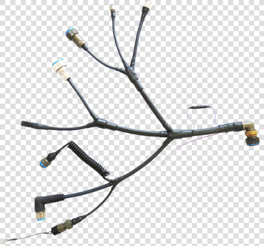 Transparent Electrical Wires Png   Twig  Png DownloadTransparent PNG