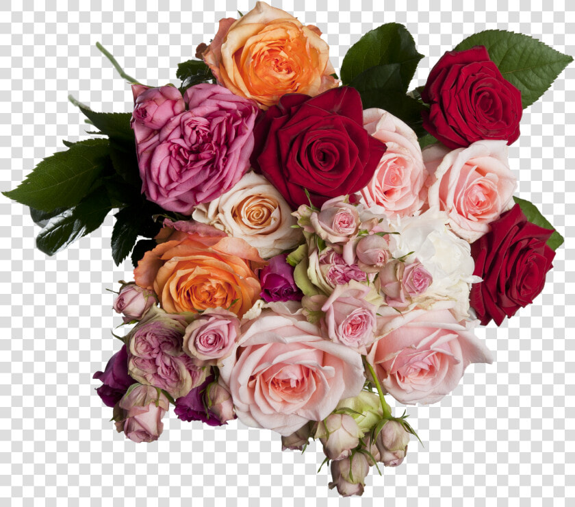 Isolated  Roses  Bouquet  Multi Coloured  Romantic   ช่อ ดอกไม้ หลาก สี  HD Png DownloadTransparent PNG