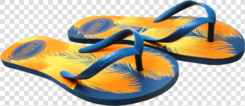 Flip flops Png   Flip flops  Transparent PngTransparent PNG