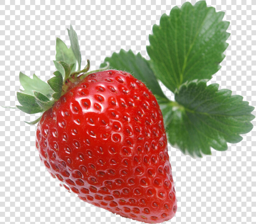 Strawberry Vector Png   Wild Strawberries In Png  Transparent PngTransparent PNG