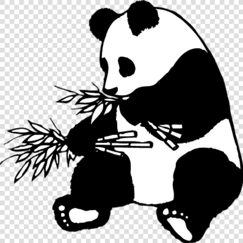 28 Collection Of Panda Clipart Black And White   Panda Clipart Black And White  HD Png DownloadTransparent PNG