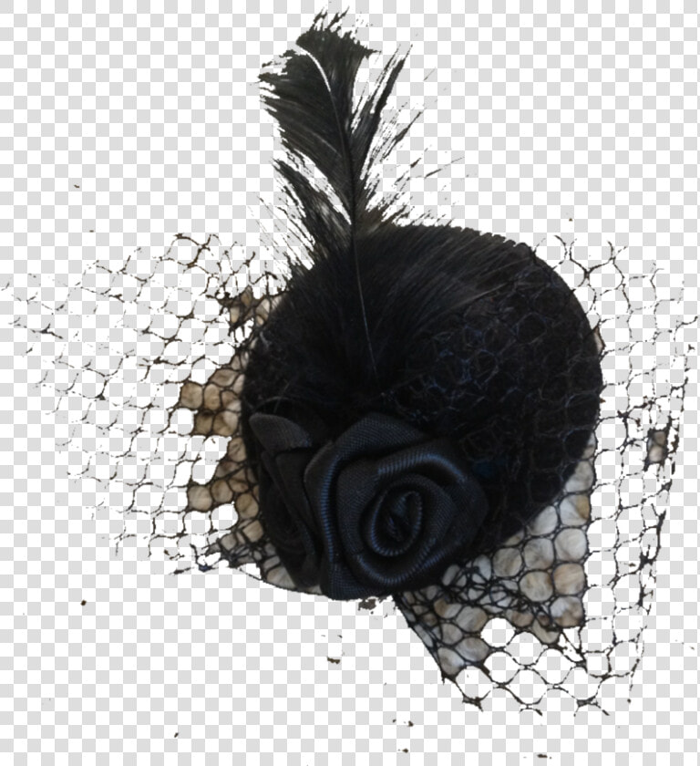 Fancy Hat Transparent Background   Fancy Hats Transparent Background  HD Png DownloadTransparent PNG