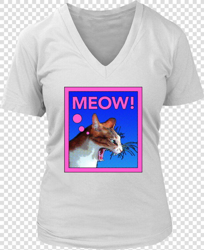 Comic Cat Meow   Catch Flight Not Feelings Shirt  HD Png DownloadTransparent PNG