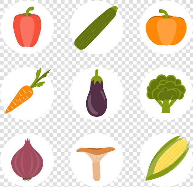 Maize Euclidean Vector Corncob Icon  HD Png DownloadTransparent PNG