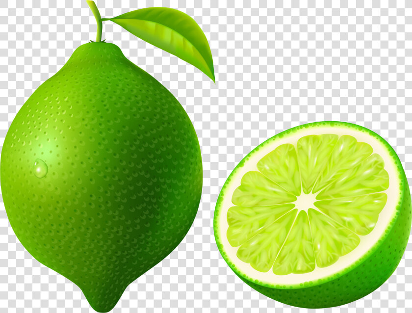 Lime Png Image   Lime Clipart Png  Transparent PngTransparent PNG