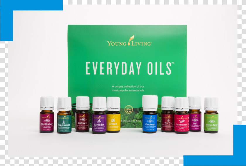 Image   Yl Everyday Oils Collection  HD Png DownloadTransparent PNG