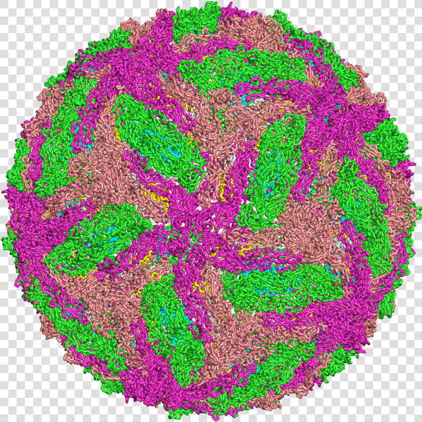 Image Depicting Dengue Virus   Representação Do Virus Da Dengue  HD Png DownloadTransparent PNG