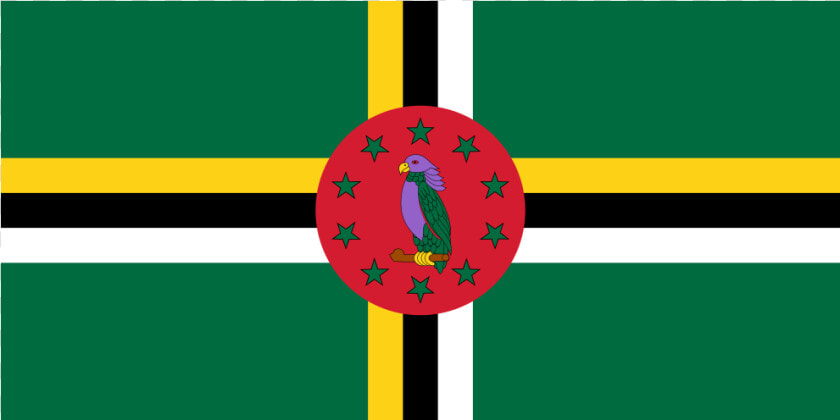 Dm Dominica Flag Icon   National Flag Of Dominica  HD Png DownloadTransparent PNG