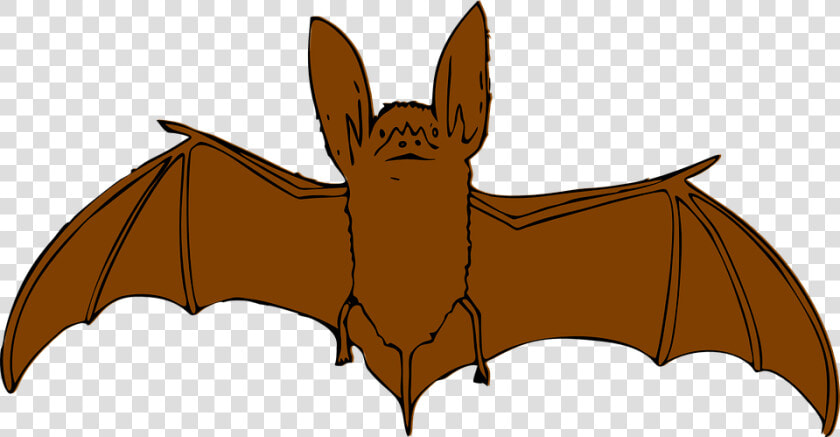 Bat  Flying  Animal  Brown   Bat Clip Art  HD Png DownloadTransparent PNG