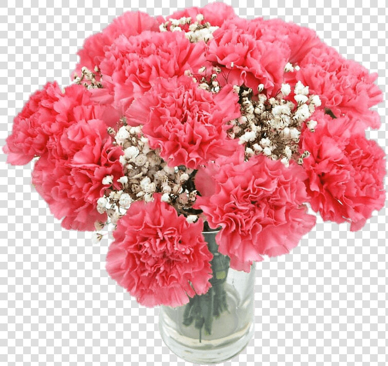 Pink Carnations   Carnation Flower Bouquet  HD Png DownloadTransparent PNG