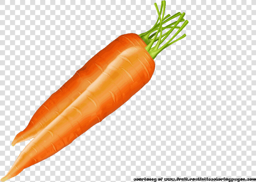 Carrots Clipart Fruit   Овощной Искусства Из Моркови  HD Png DownloadTransparent PNG