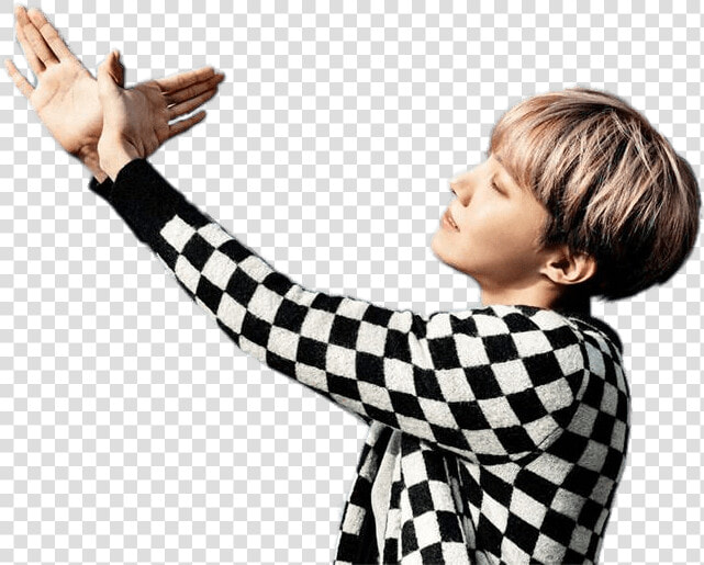 Bts J Hope Bird   Пнг Бтс  HD Png DownloadTransparent PNG