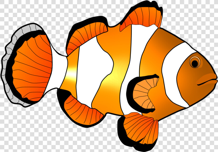 Clown Fish Clip Art   Clipart Coral Reef Fish  HD Png DownloadTransparent PNG