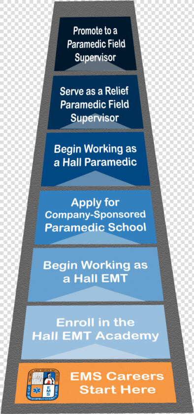 Fasttrack Ladder   Career Ladder For Veterinarians  HD Png DownloadTransparent PNG