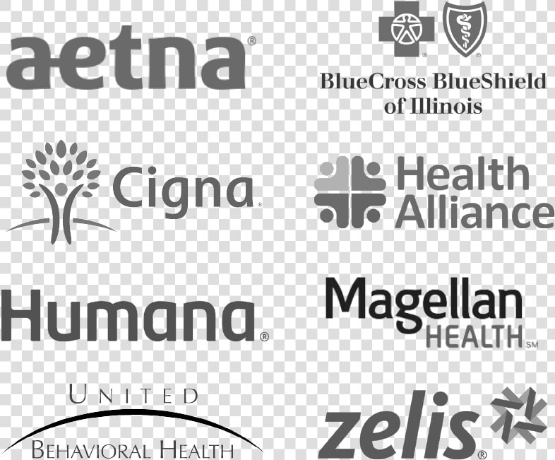 Insurance Logos   Blue Cross Blue Shield  HD Png DownloadTransparent PNG