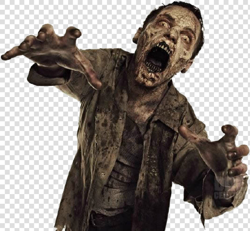 Zombie Png Image   Transparent Background Zombie Png  Png DownloadTransparent PNG