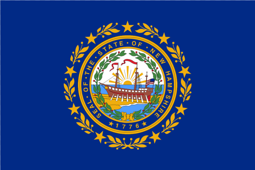 Us Nh New Hampshire Flag Icon   New Hampshire Flag Gif  HD Png DownloadTransparent PNG