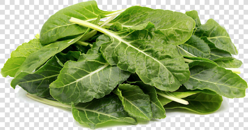 Transparent Collard Greens Png   Green Leafy Vegetables Png  Png DownloadTransparent PNG