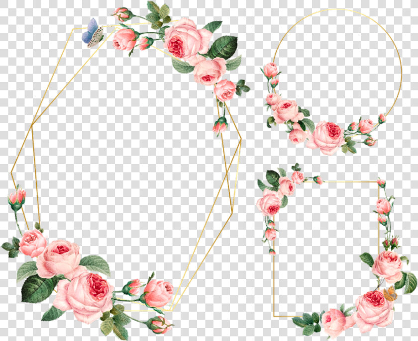  frame  flower  border  circle   ورد فيكتور Flower اطارات ورد  HD Png DownloadTransparent PNG