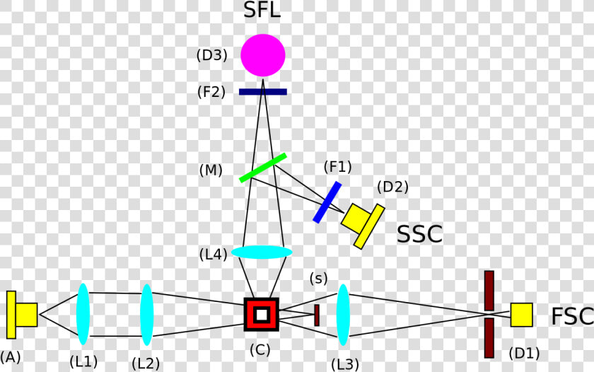 Esquema Citometría De Flujo  HD Png DownloadTransparent PNG