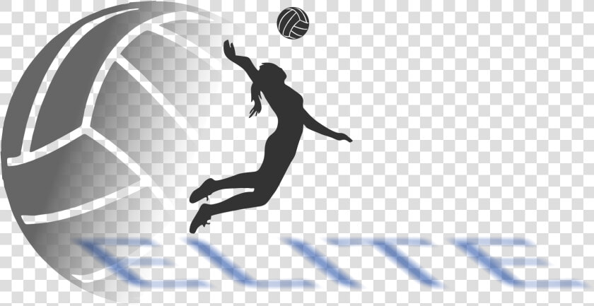 Eva Ball Logo   Volleyball Is Life  HD Png DownloadTransparent PNG